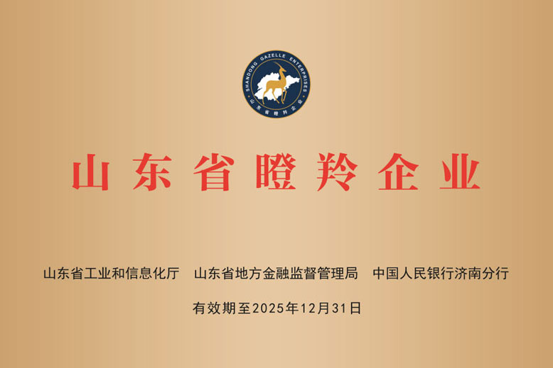晨宇电气荣获山东省“瞪羚企业”