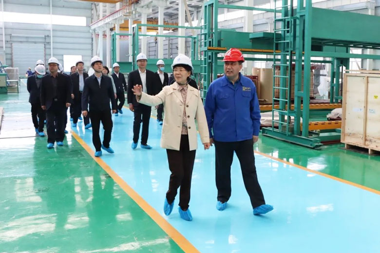 山东省发展和改革委员会来公司调研